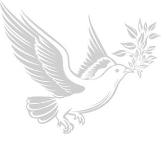 bird-fly bird-fly